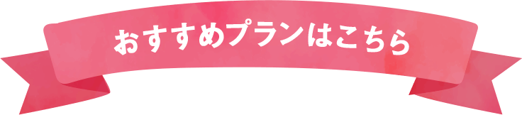 おすすめプランはこちら