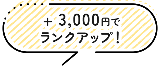 ＋ 3,000円
