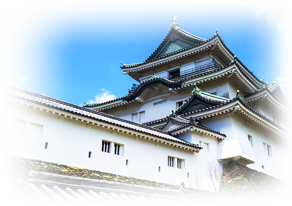 Wakayama Castle