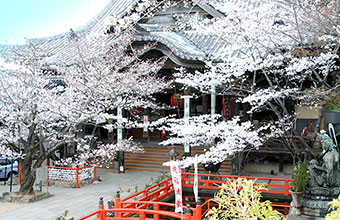 Kimiidera Temple