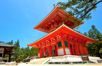 Mt. Koya (Koyasan)