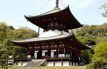 Negoroji Temple