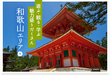 遊ぶ・観る・学ぶ 魅力盛りだくさん 和歌山エリア